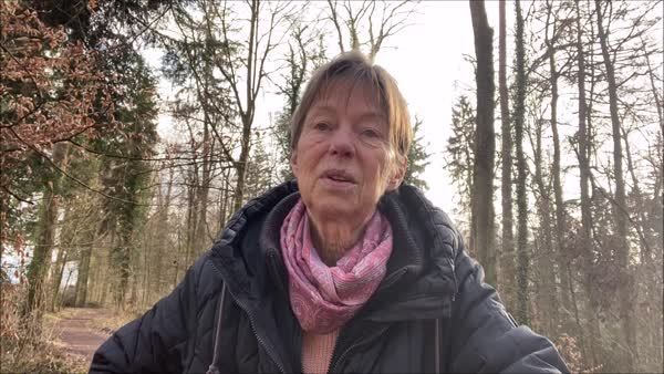 Praxis-Seminar: Stoffwechselaktivierung mit Heilpflanzen bei Allergien